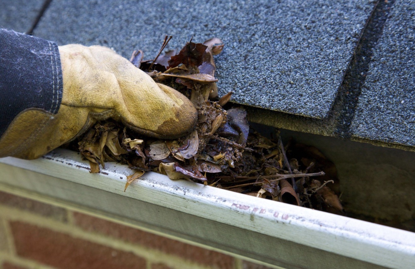 Gloved hand removing wet leaves and debris from a roof gutter